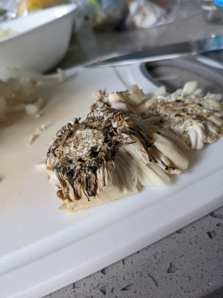Roots of shimeiji mushroom trimmed off.