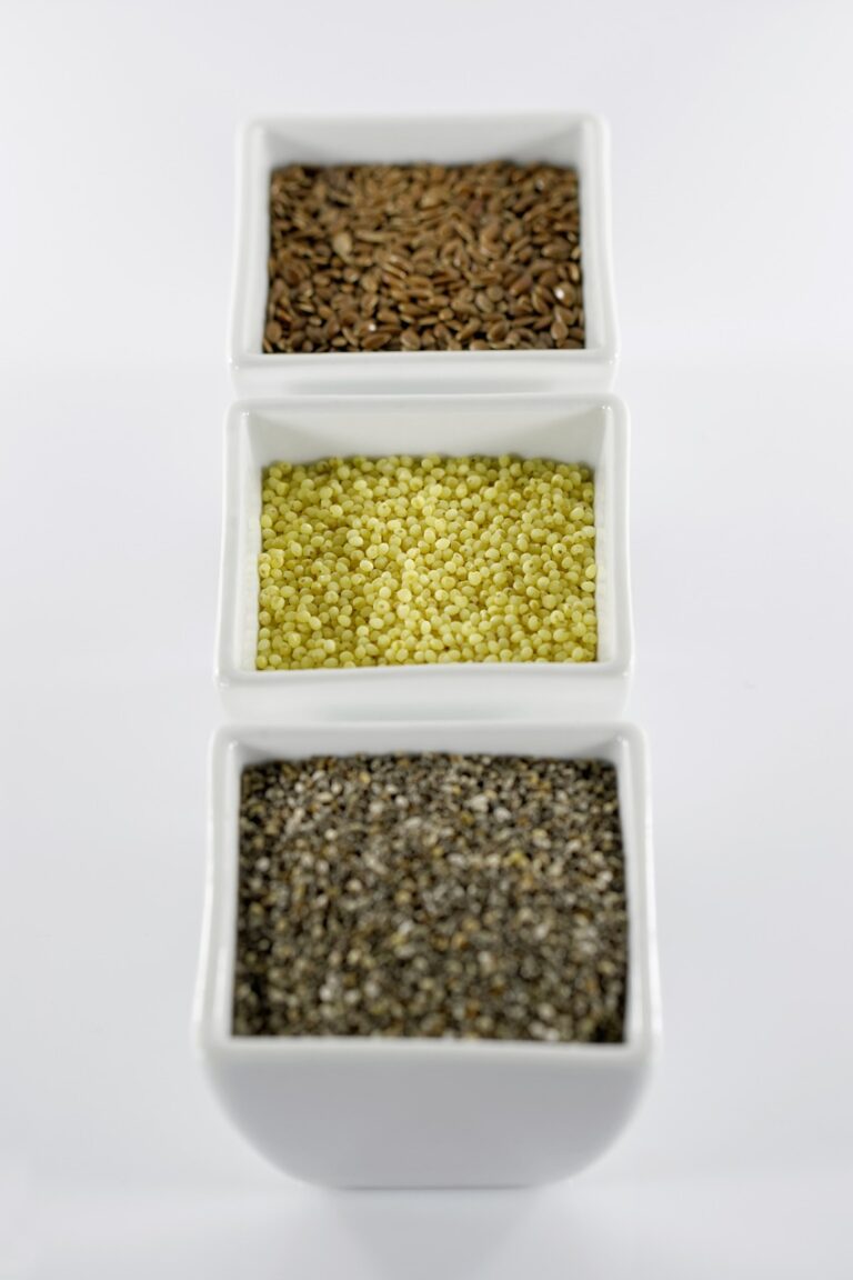 chia, seeds, nutrition-6387448.jpg