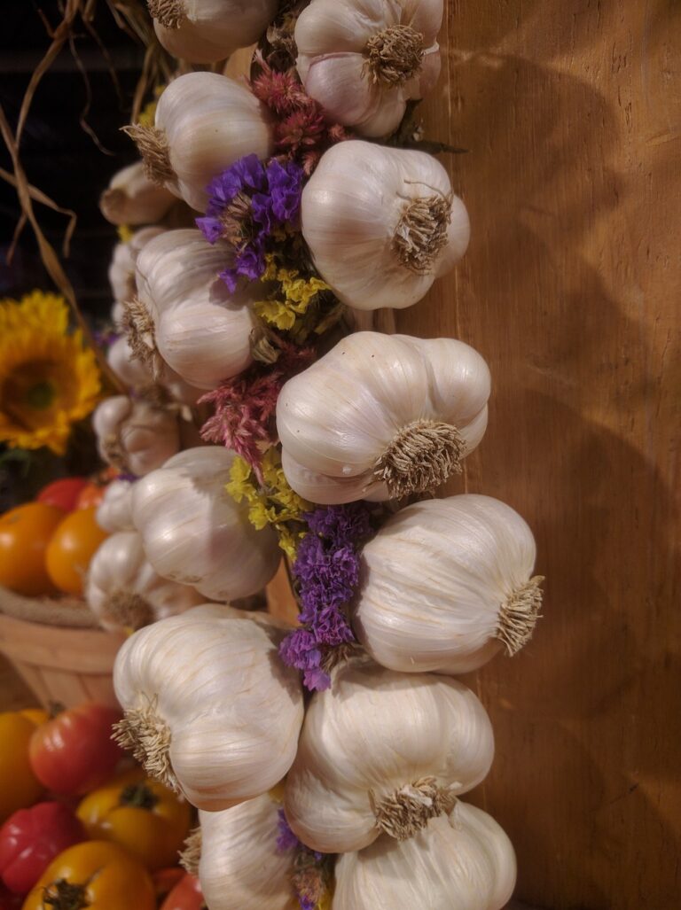 garlic, vegetable, group-1672797.jpg