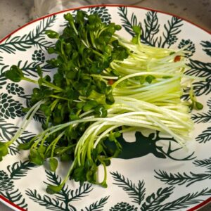 radish sprouts on a plate