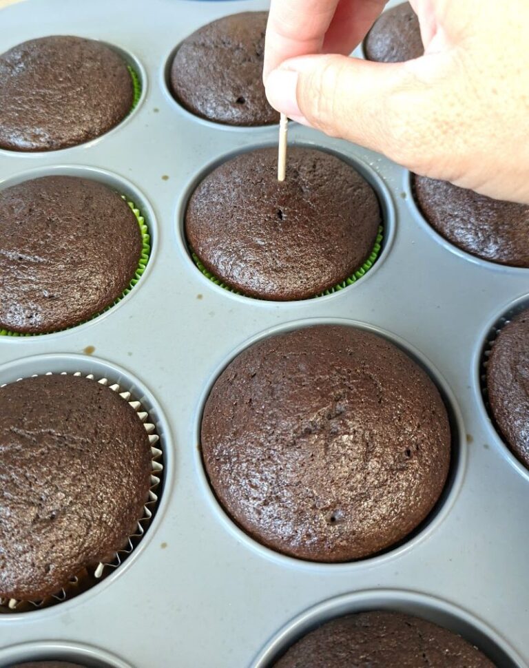 chocolate whole wheat olive oil cupcakes without frosting