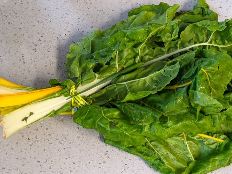 bunch of swiss chard